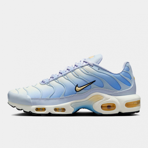 Кроссовки Nike Air Max Plus Daybreak (W)
