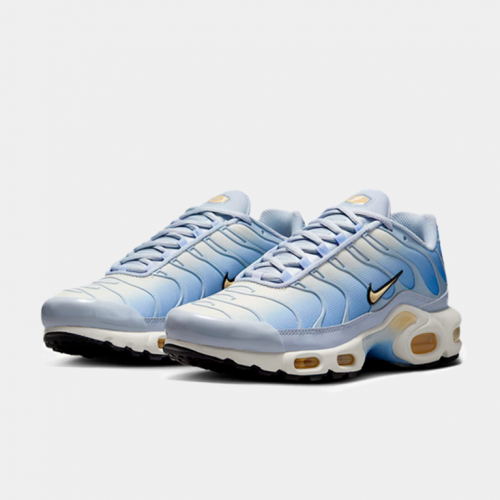 Кроссовки Nike Air Max Plus Daybreak (W)
