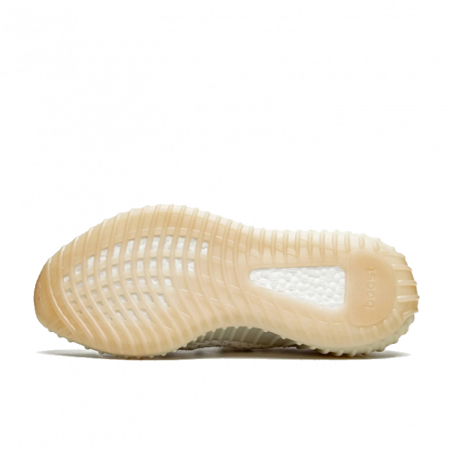 Кроссовки Adidas Yeezy Boost 350 V2 Light